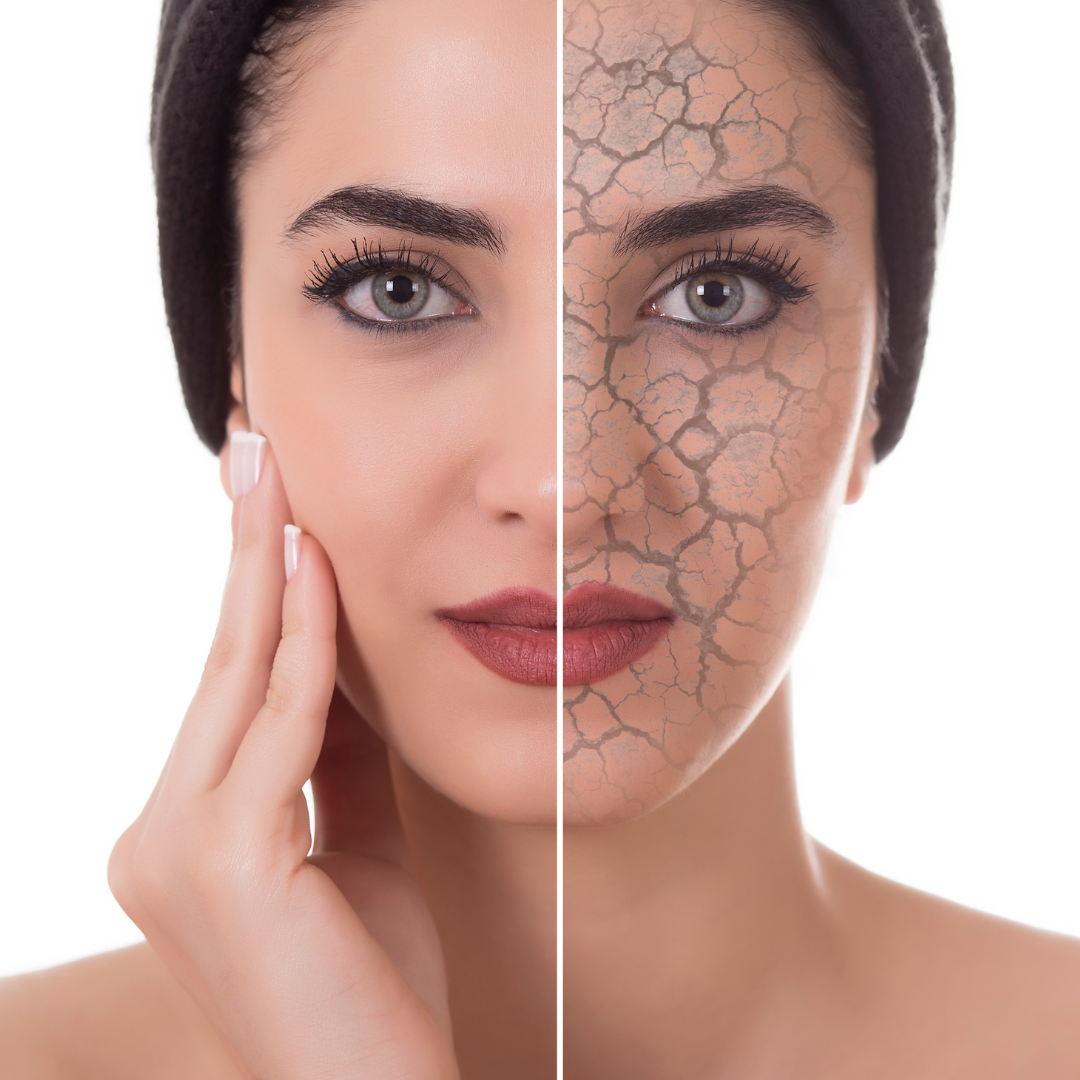 Oak Tree Dermatology (12)